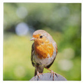 Carreau Summer Robin (Devant)