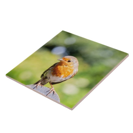 Carreau Summer Robin (Côté)