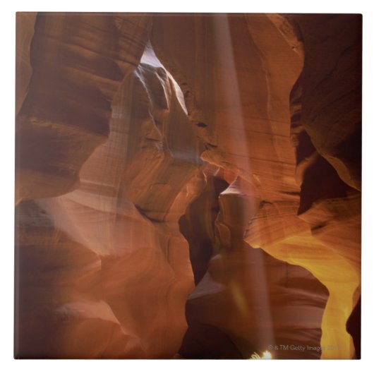 Carreau Sunbeam frappant l'amarante sur le plancher de (Devant)