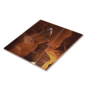 Carreau Sunbeam frappant l'amarante sur le plancher de (Côté)