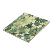 Carreau Sunlight Through Maple Leaves (Côté)