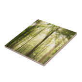 Carreau Sunrays par des cimes d'arbre (Côté)