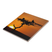 Carreau Sunrise at the Masai Mara, Kenya (Côté)