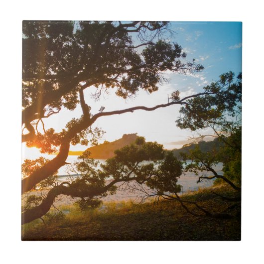 Carreau Sunrise Coromandel plage paradis Nouvelle-Zélande (Devant)