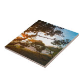 Carreau Sunrise Coromandel plage paradis Nouvelle-Zélande (Côté)