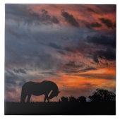 Carreau Sunrise du pays (Devant)