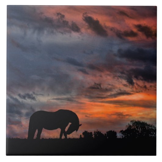 Carreau Sunrise du pays (Devant)