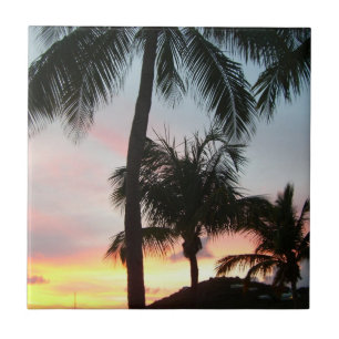 Carreau Sunset Palms Tropical Paysage Photographie