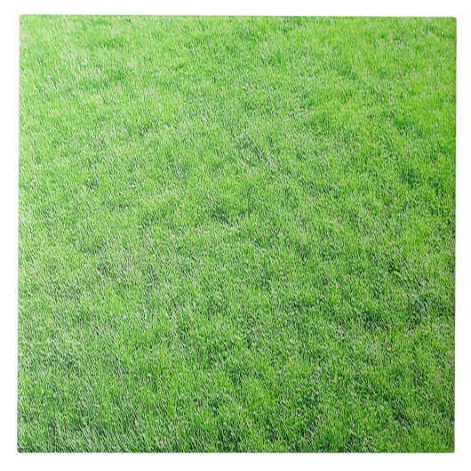 Carreau Superbe Carrelage vert d'herbe (Devant)