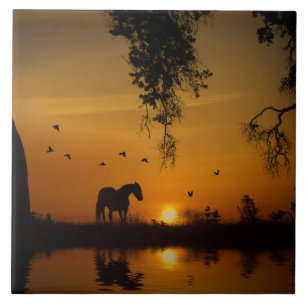 Carreau Superbe Cheval Chêne Campagne