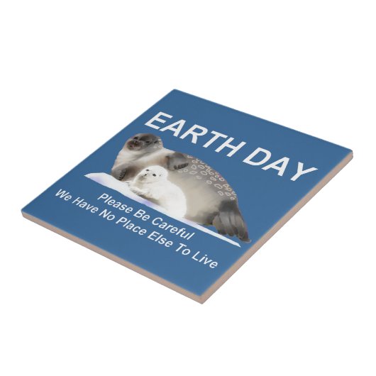 Carreau Sur la glace fine (Côté)