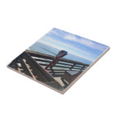 Carreau Sur Newport Pier, Newport Beach, Californie (Côté)