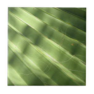 Carreau Surfaces naturellement Cool_Fluted Frond