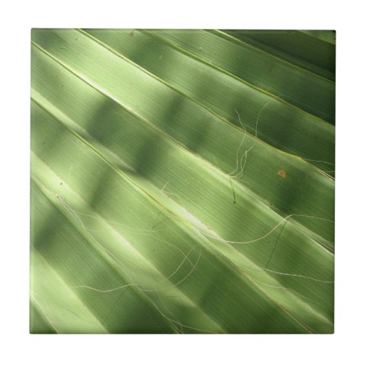 Carreau Surfaces naturellement Cool_Fluted Frond (Devant)