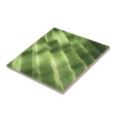 Carreau Surfaces naturellement Cool_Fluted Frond (Côté)