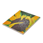 Carreau Susan observée par noir (Côté)