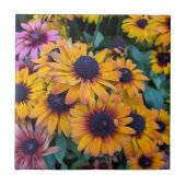 Carreau Susans à oeil noir (Devant)