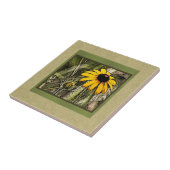 Carreau Susie observé par noir (Côté)