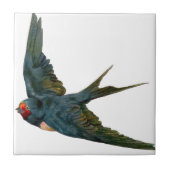 Carreau Swallow (Devant)