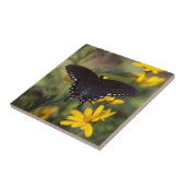 Carreau Swallowtime Springtime (Côté)