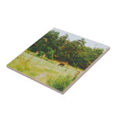 Carreau Swedish Countryside (Côté)