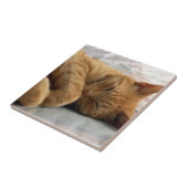 Carreau Sweet Dreams (Côté)