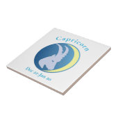 Carreau Symbole Capricorne Thunder_Cove (Côté)