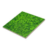 Carreau Symbole irlandais vert shamrock Clovers Irlande (Côté)