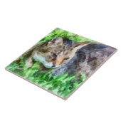 Carreau Tabby Cat Closeup (Côté)