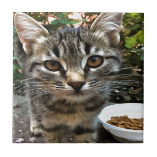 Carreau Tabby Cat Kitten Faire contact visuel