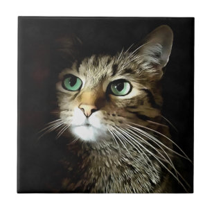 Carreau Tabby Chat Aux Yeux Verts Isolé Sur Noir