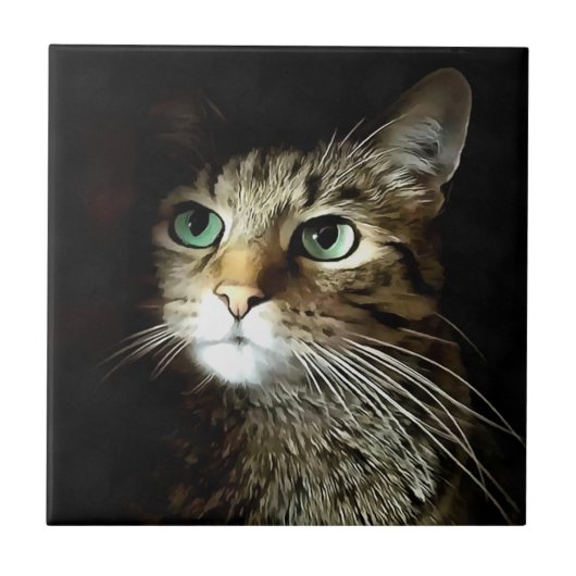 Carreau Tabby Chat Aux Yeux Verts Isolé Sur Noir (Devant)