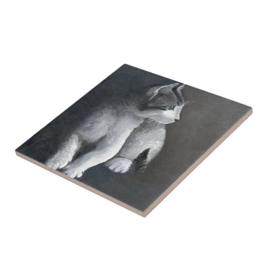 Carreau Tabby Kitten (Côté)