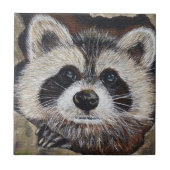 Carreau Tableau Raccoon (Devant)