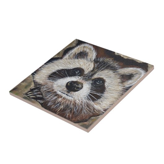 Carreau Tableau Raccoon (Côté)