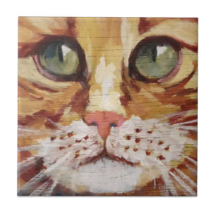 Carreau Tableau Tabby orange Détail Carrelage en céramique