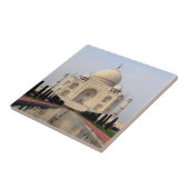 Carreau Taj Mahal (Côté)