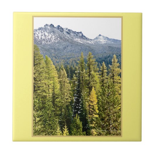 Carreau Tamarack Gold (Devant)