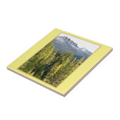 Carreau Tamarack Gold (Côté)
