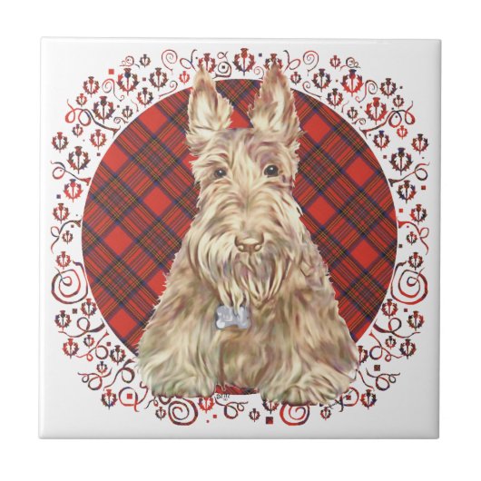 Carreau Tartan Scottie Blé (Devant)