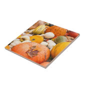 Carreau Tas de citrouilles et de courges (Côté)