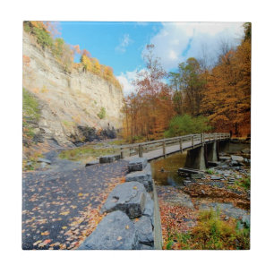 Carreau Taughannock tombe parc d'état