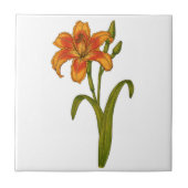 Carreau Tawny day (Devant)