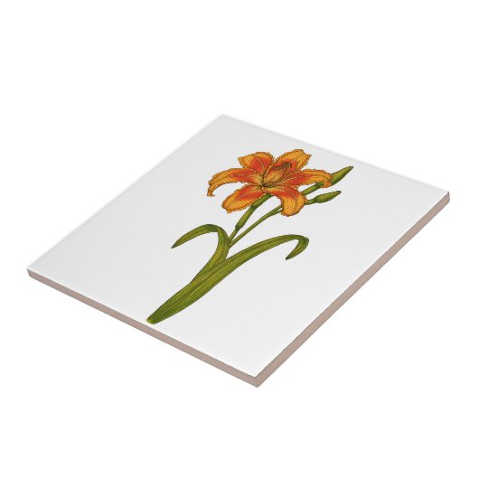 Carreau Tawny day (Côté)