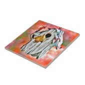 Carreau Technicolor Birdhouse (Côté)