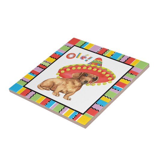 Carreau Teckel de fiesta (Côté)