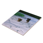 Carreau Teckel miniature 3 (Côté)