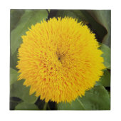 Carreau Teddy Jaune Ours Fleur de soleil Floral (Devant)