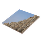 Carreau Temple Jain au fort de Chittorgarh, Inde (Côté)