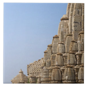 Carreau Temple jaïn dans le fort de Chittorgarh, Inde
